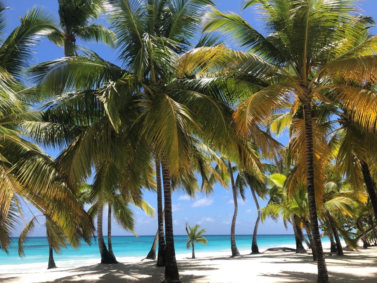 Bayahibe Village Inn 외부 사진
